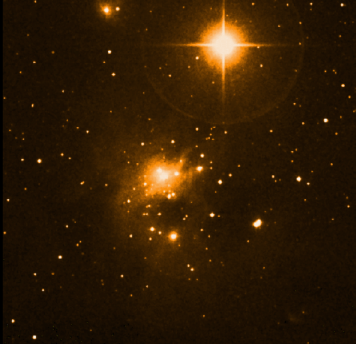 optical image of IC 348